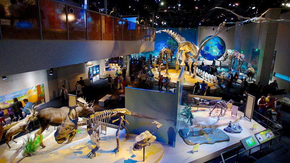Museum Of Science And Nature Ottawa Museum Of Science And Nature Ottawa