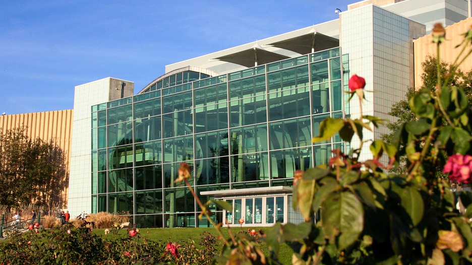 City Park Area A museum (/ m juː ˈ z iː əm / mew-ZEE-əm; plural museums or, rarely, musea) is an institution that cares for (conserves) a collection of artifacts and other objects of .