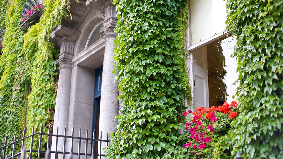 VIAJES BARATOS A DUBLIN viajes baratos a dublin: