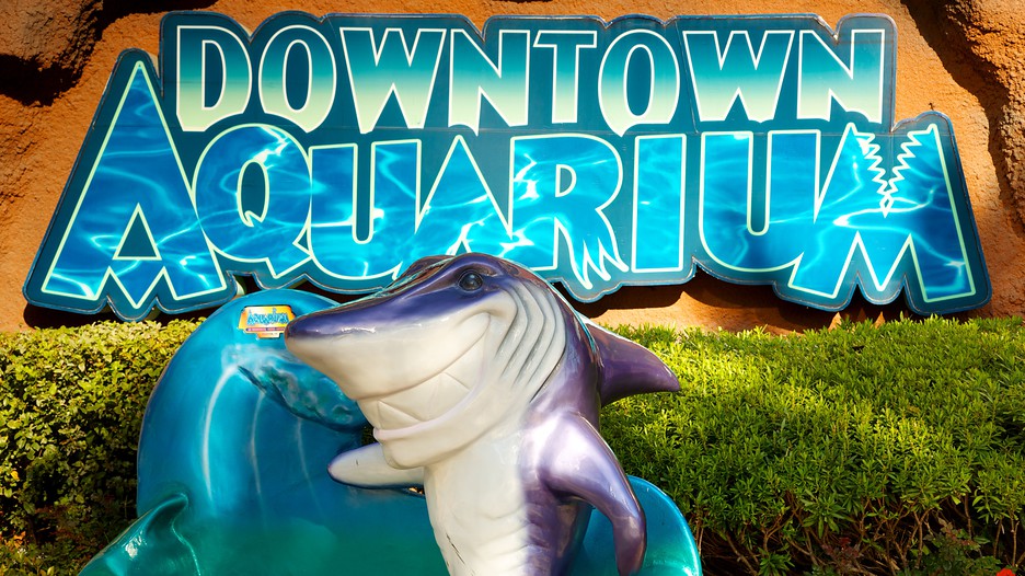 Downtown Aquarium in Houston, Texas Expedia