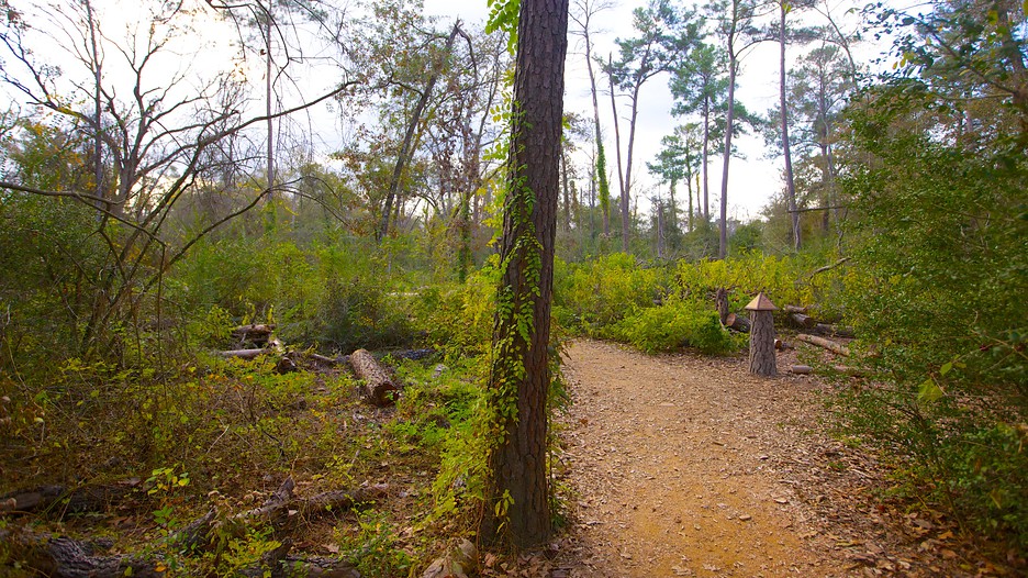 Houston Arboretum and Nature Center in Houston, Texas Expedia