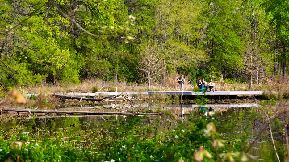 Houston Nature Park Houston Nature Park