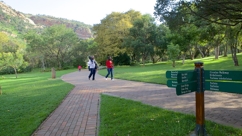 Walter Sisulu National Botanical Garden In Johannesburg Expedia