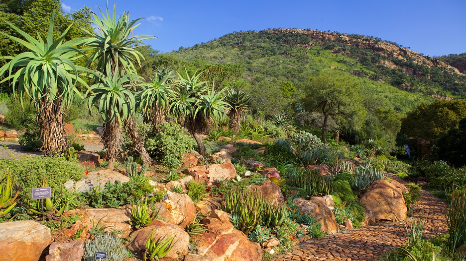 Walter Sisulu National Botanical Garden in Johannesburg, Expedia