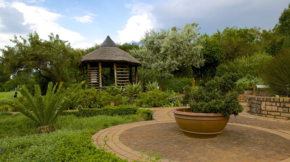 Walter Sisulu National Botanical Garden in Johannesburg, | Expedia