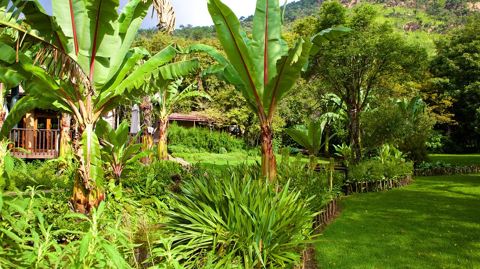 Walter Sisulu National Botanical Garden in Johannesburg, Expedia