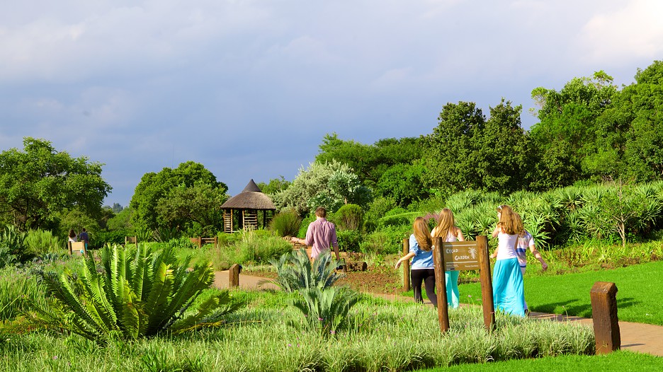 Walter Sisulu National Botanical Garden in Johannesburg, Expedia