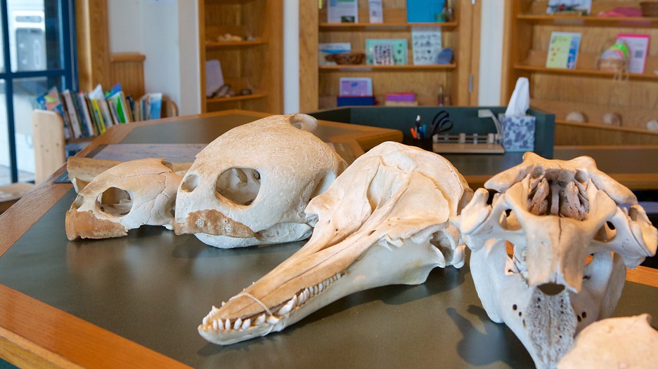 Miami Holiday Packages 2017: Book Miami Holidays, United States of Miami Holiday Packages 2017: Book Miami Holidays, United States of