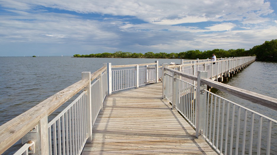 Miami, Florida Vacation Packages Save On Miami Trips Travelocity Miami, Florida Vacation Packages Save On Miami Trips Travelocity