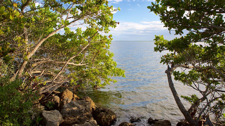 Miami, Florida Vacation Packages Save On Miami Trips Travelocity Miami, Florida Vacation Packages Save On Miami Trips Travelocity