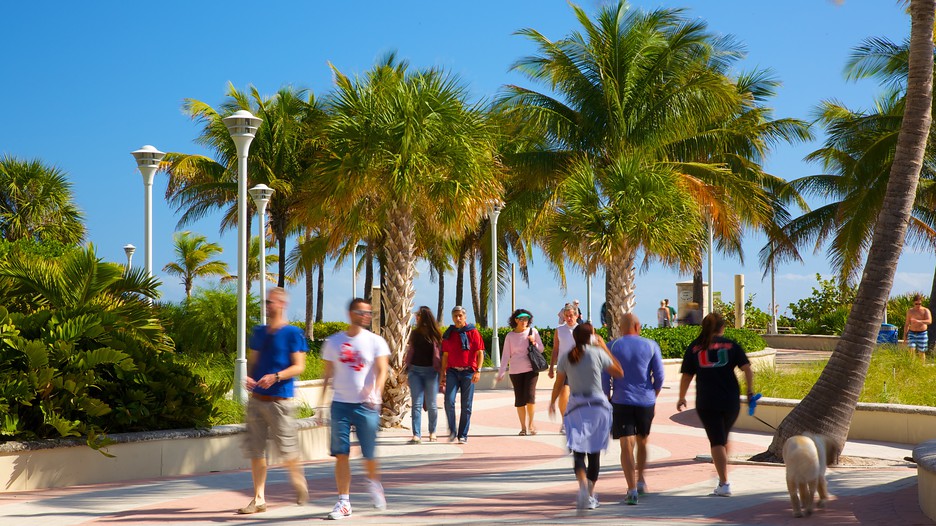 cheap vacation packages to miami beach