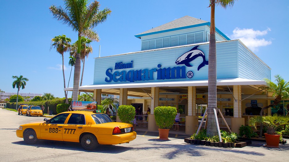 Miami Seaquarium in Miami, Florida - Miami Seaquarium 52200