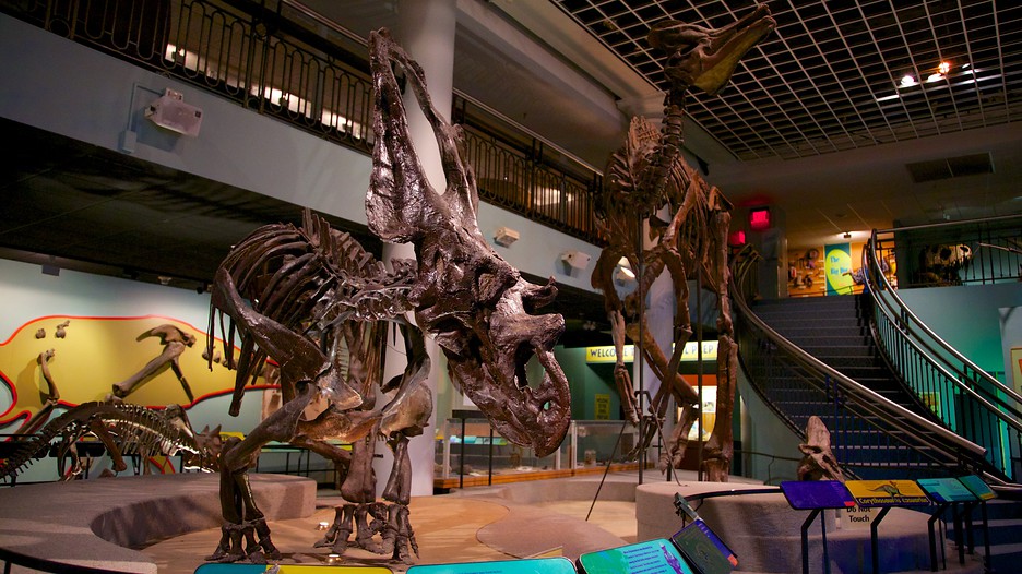 Academy Of Natural History Philadelphia Email Academy Of Natural History Philadelphia Email
