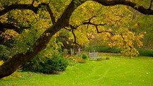 Hotels Near Morris Arboretum Philadelphia Hotels Near Morris Arboretum Philadelphia