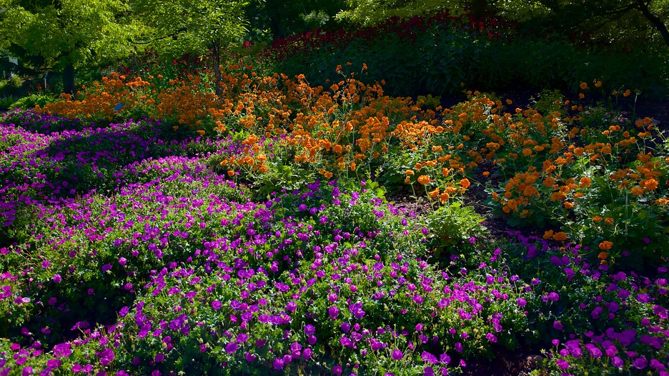 Red Butte Garden and Arboretum in Salt Lake City, Utah ...