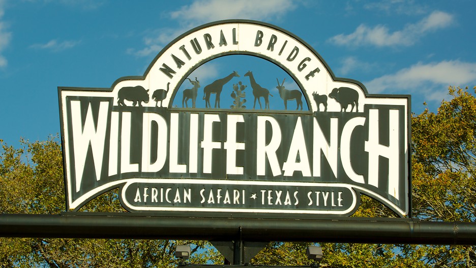 natural bridge safari park texas