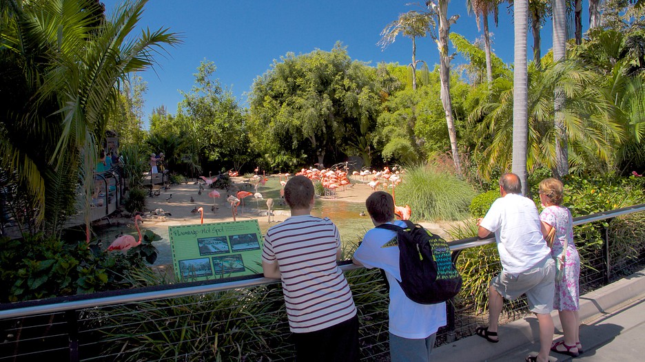 San Diego Hotels Close To Zoo San Diego Hotels Close To Zoo