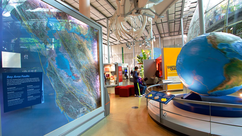 California Academy of Sciences in San Francisco, California Expedia
