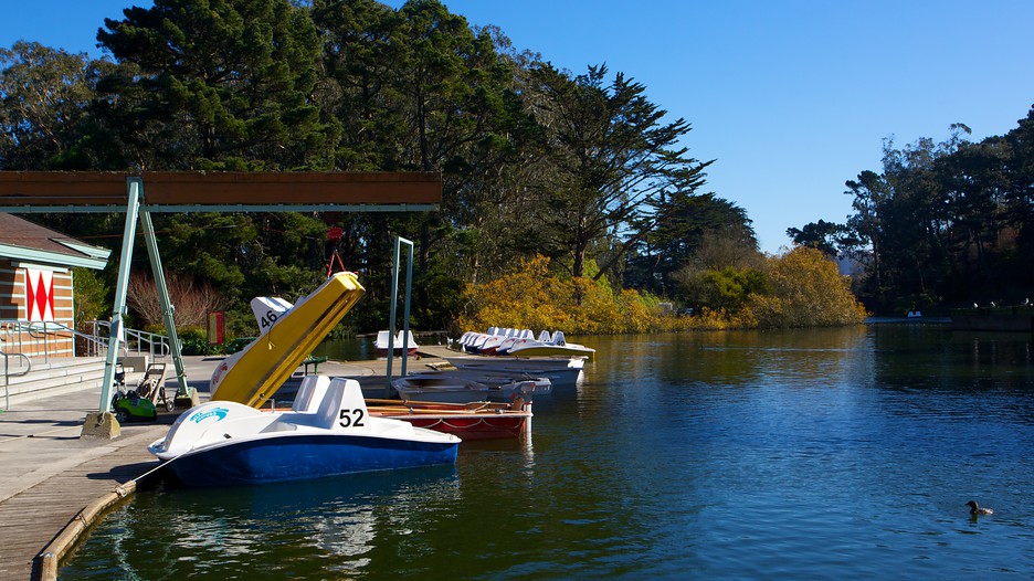 Golden Gate Park in San Francisco, California | Expedia