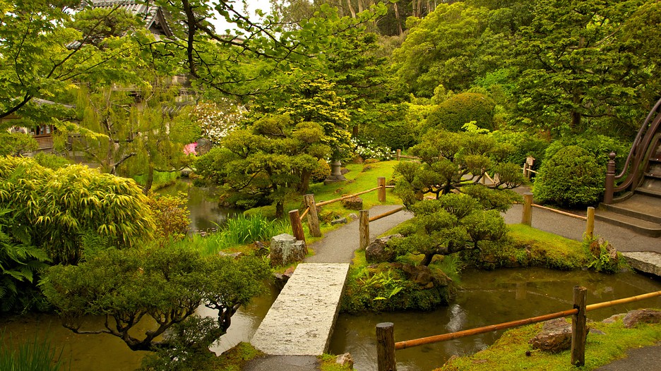 california vacation packages