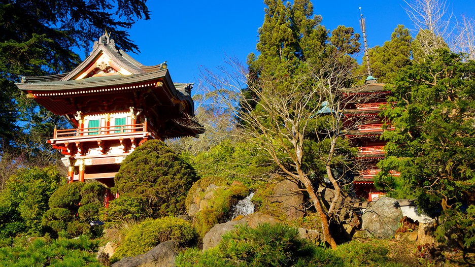 Japanese Tea Garden in San Francisco, California | Expedia