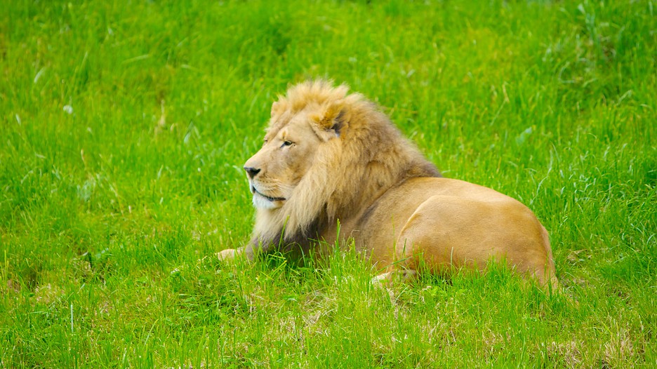 Woodland Park Zoo in Seattle, Washington Expedia