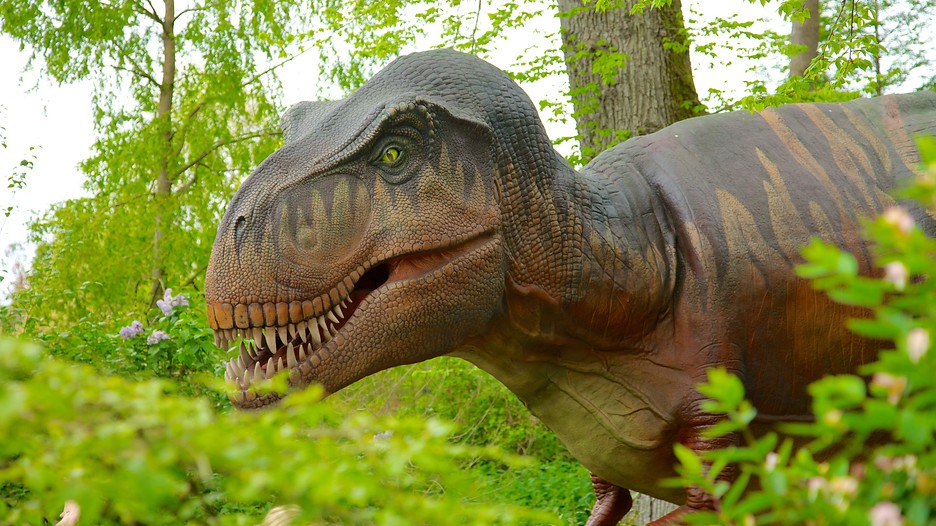 Woodland Park Zoo in Seattle, Washington Expedia