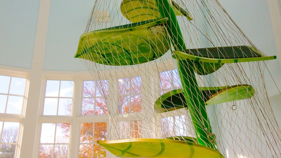 Magic House St. Louis Children's Museum in St. Louis, Missouri Expedia