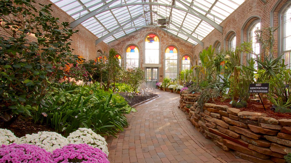 Missouri Botanical Garden Saint Louis 2020 All You Need Missouri Botanical Garden Saint Louis 2020 All You Need