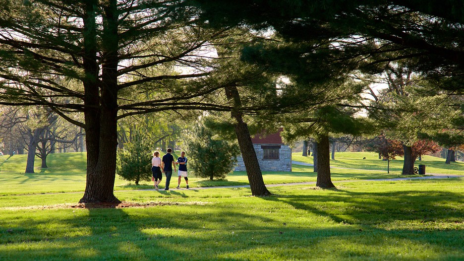 St Louis Vacations Family | IUCN Water