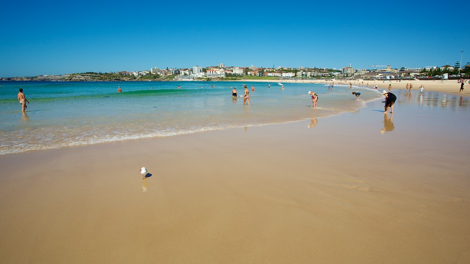 Hotels Near Bondi Beach Hotels Near Bondi Beach
