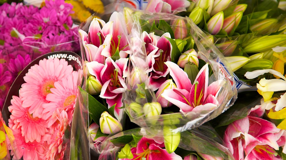 西端区自由行套票 | 机票 酒店优惠