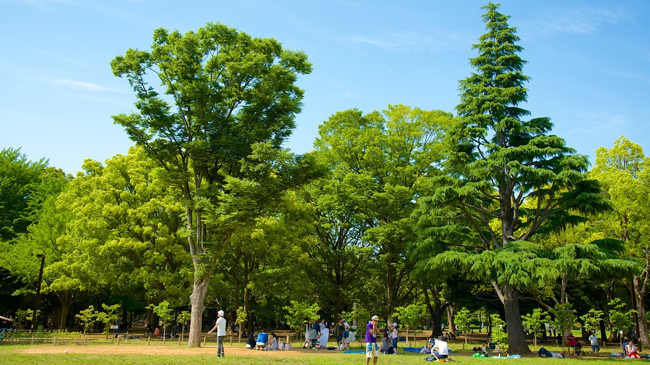 yoyogi park