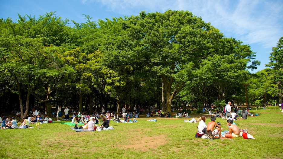 yoyogi park