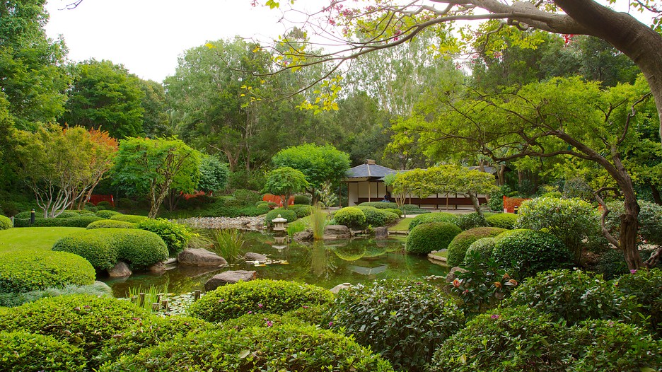 Brisbane Botanic Gardens Queensland Attraction Brisbane Botanic Gardens Tourism Media