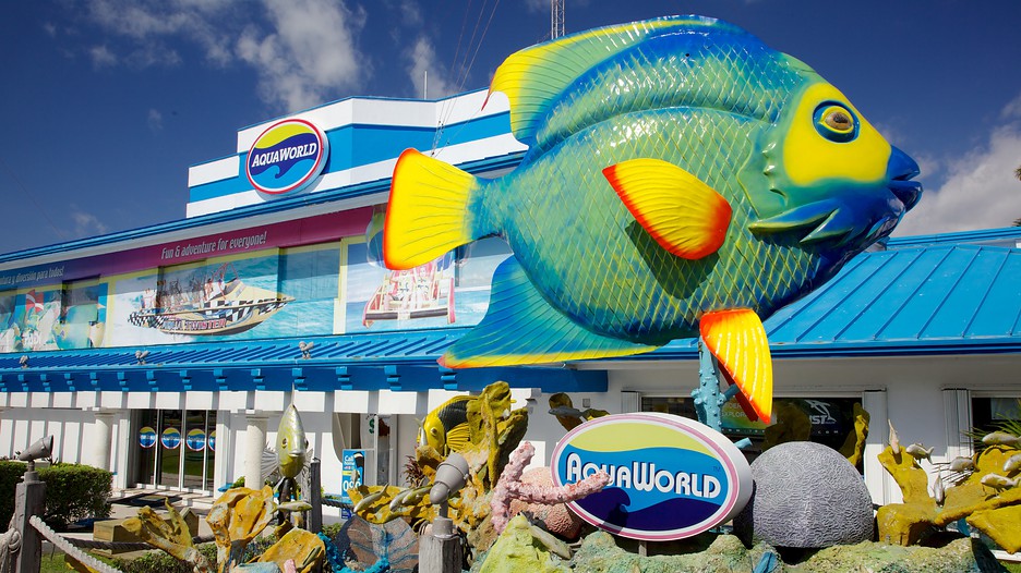 Best Day To Shop For Travel Deals Best Day To Shop For Travel Deals