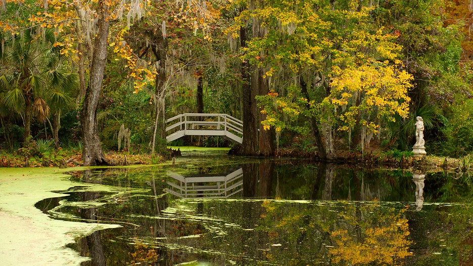 Charleston Vacations 2017: Package & Save up to $603 | Expedia