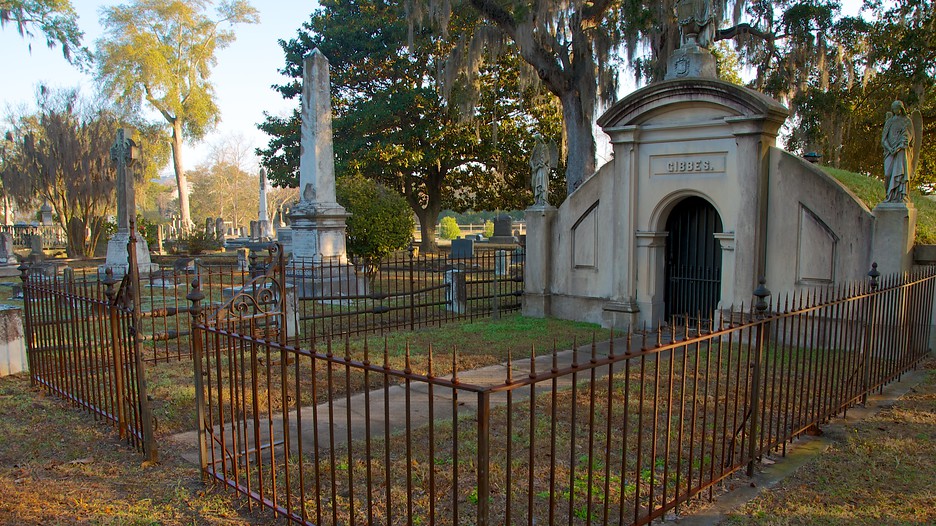 Magnolia Cemetery in Charleston, South Carolina Expedia