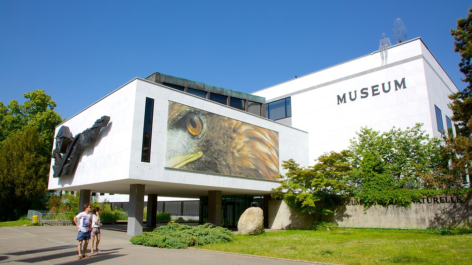 Natural History Museum Of Geneva Price Natural History Museum Of Geneva Price