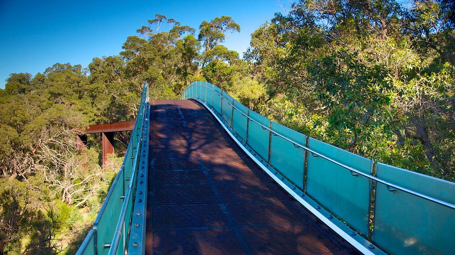 Kings Park and Botanic Garden in Perth, Western Australia Expedia.ca Kings Park and Botanic Garden in Perth, Western Australia Expedia.ca