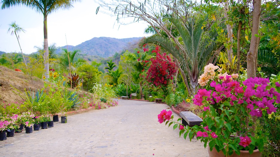 Puerto Vallarta Botanical Gardens in Puerto Vallarta, Jalisco Expedia