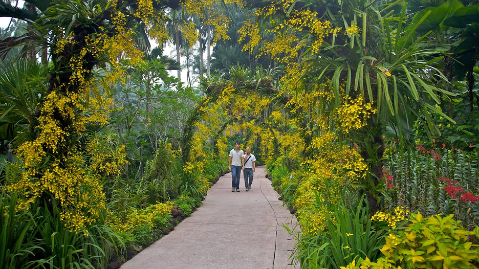 Botanischer Garten von Singapur in Singapur Expedia.de