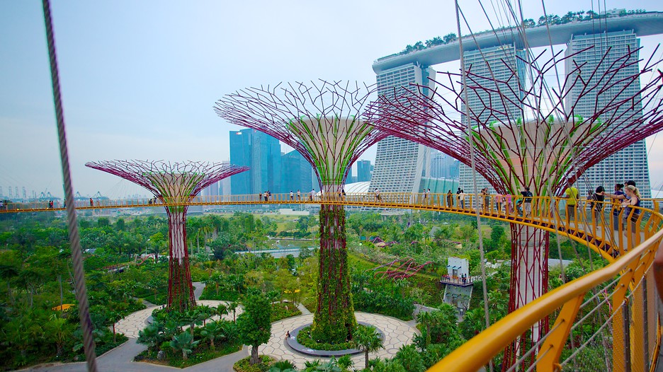 Gardens By The Bay In Singapore Expedia ca Gardens By The Bay In Singapore Expedia ca