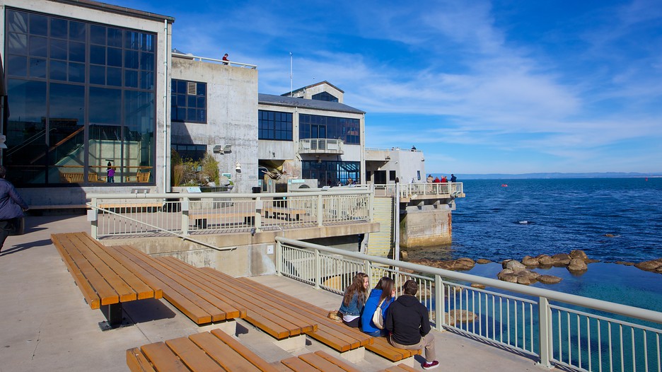 Monterey Bay Aquarium: Un monde sous-marin fascinant - Monterey Bay Aquarium 26907