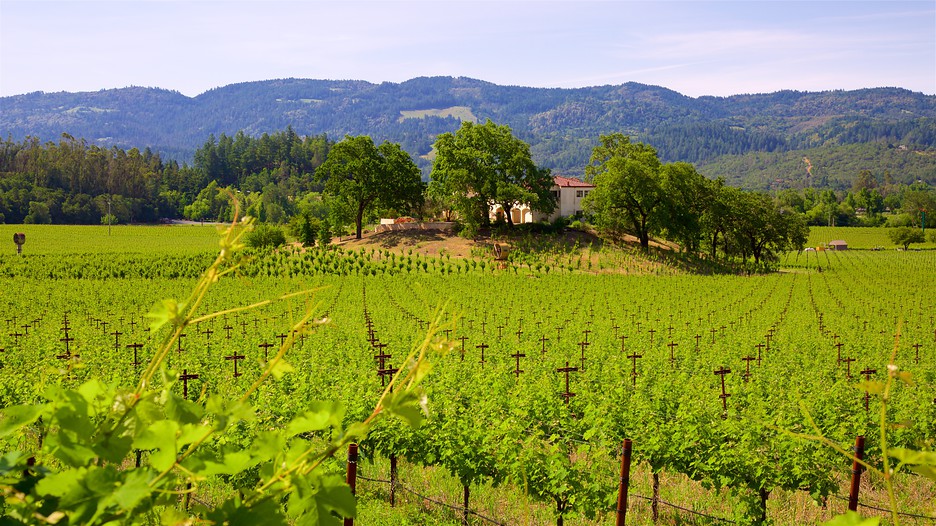 California Wine Tours Vacation Packages California Wine Tours Vacation Packages