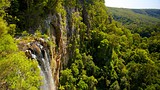Showing item 44 of 64. Springbrook National Park - Gold Coast - Tourism Media