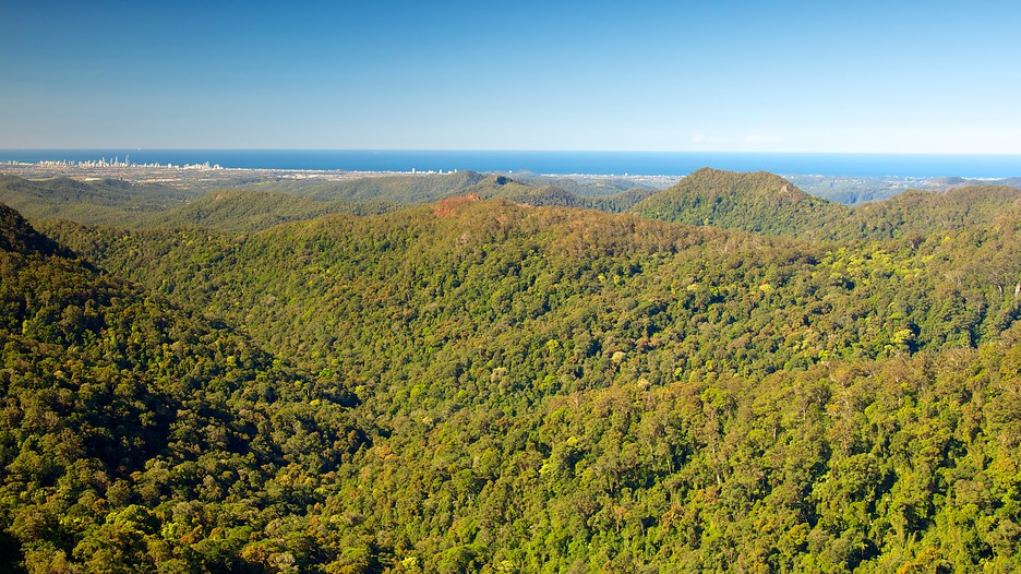 Springbrook National Park in Springbrook, Queensland | Expedia