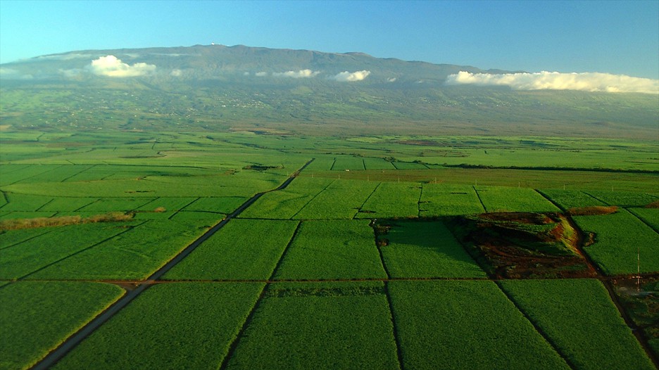 Expedia package deals to hawaii