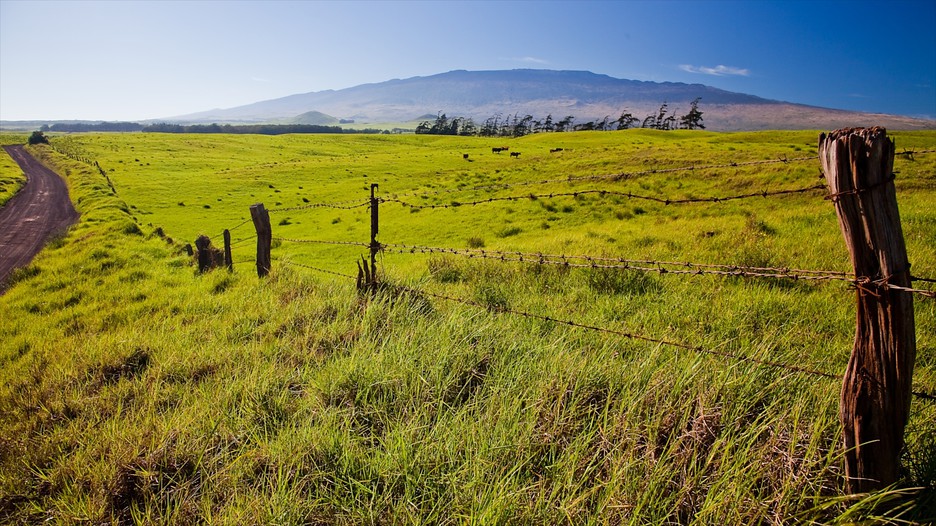 Hawaii holiday deals 2018