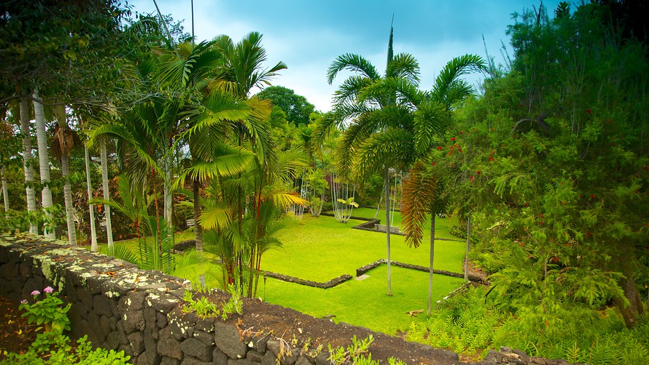 sadie seymour botanical garden kailua kona hawaii attraction expedia com au sadie seymour botanical garden kailua kona hawaii attraction expedia com au